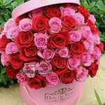 Profile Picture of ahmad_mahoozi (@ahmad_mahoozi00) on Instagram