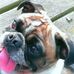 Profile Picture of Paul René Bobzin (@paulrene.bobzin) on Facebook