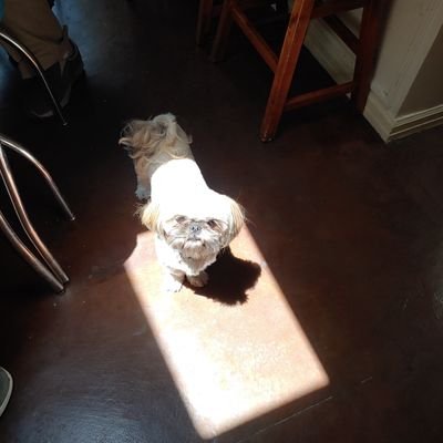 Profile Picture of Garth Olson (@olsongt) on Twitter