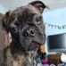 Profile Picture of Howard Aiken (@howard.aiken.9083) on Facebook