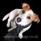 Profile Picture of Mike Avery (@mike.avery.338) on Facebook