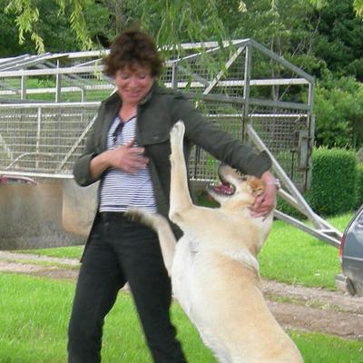 Profile Picture of Anne-Pascale (@daisy_61) on Twitter