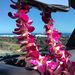 Profile Picture of Chris Sugg (@rxheel) on Pinterest