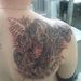 Profile Picture of Steve Lautermann (@slautermann) on Pinterest