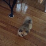 Profile Picture of Kerrihines (@kerrihines2) on Instagram