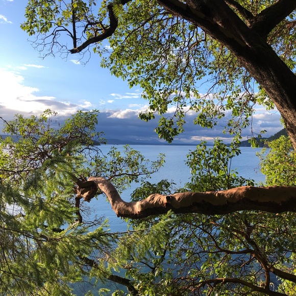 Profile Picture of Jenna Falk (@jfalk15) on Poshmark