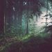 Profile Picture of Ray Menchaca  (@raymenchaca0561) on Pinterest
