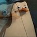Profile Picture of Zach Chastain (@zacharyc1334) on Pinterest
