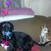 Profile Picture of Gary Armbrust (@gary.armbrust.14) on Facebook