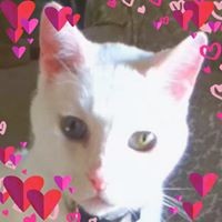 Profile Picture of Carol Schroeder (@carol-schroeder-14) on Quora