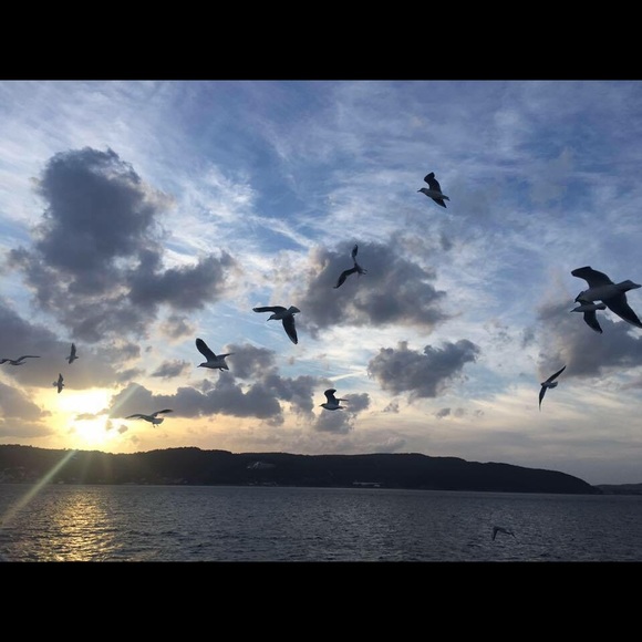 Profile Picture of Hilal Kaynak (@zep) on Poshmark