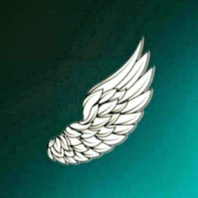 Profile Picture of Thomas Ferreira (@LauroBento2) on Twitter