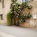 Profile Picture of Hugo Chardron (@hugogochardron) on Pinterest