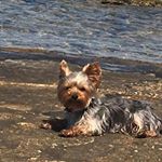 Profile Picture of Sanja Lužaić Garba (@garbasanja) on Instagram
