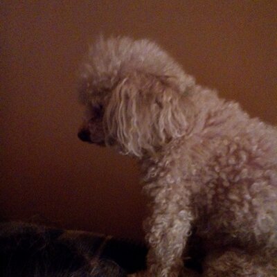 Profile Picture of Joyce Hull (@jehullville) on Twitter