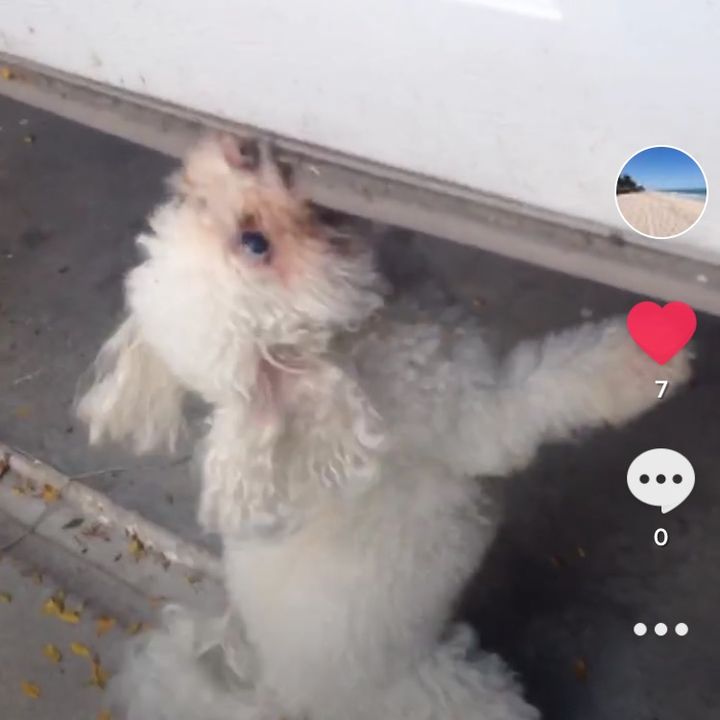Profile Picture of   randy kowalski... (@randykowalski7) on Tiktok