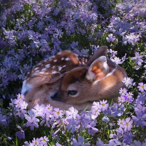 Profile Picture of Makelah Scott707 (@makelahscott0) on Tiktok