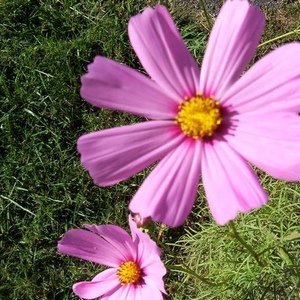 Profile Picture of Ed Huff (@yonvwesa) on Myspace