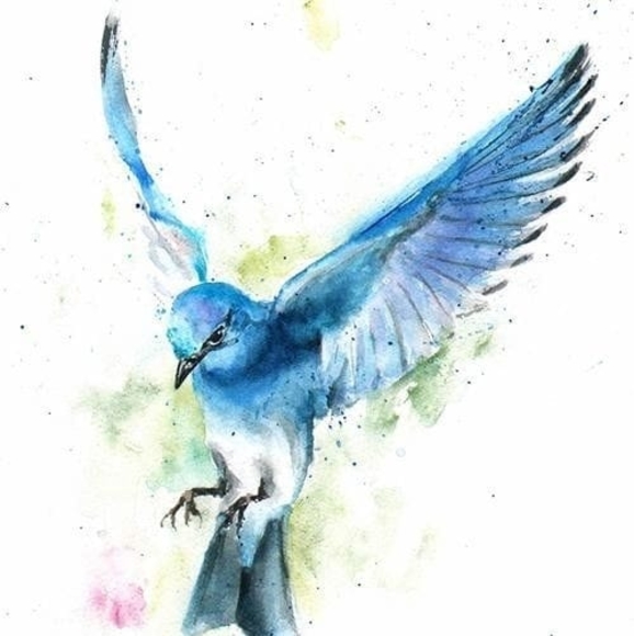 Profile Picture of Linda Kloosterman (@lindamkloo) on Poshmark