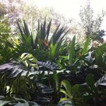 Profile Picture of Lori Guilfoyle (@guilfoyle2) on Instagram