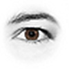 Profile Picture of Anne (@Anne McSherry) on Flickr