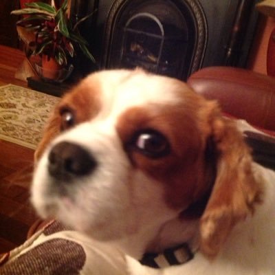 Profile Picture of Davidpender (@david_pender12) on Twitter