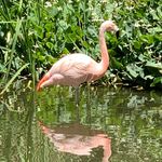 Profile Picture of Matthew Ruble (@ruble_matthew) on Instagram