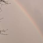 Profile Picture of Maria McCarter (@maria.mccarter.2025) on Facebook