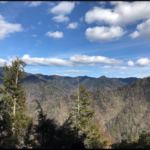 Profile Picture of Mitchell Kurtz (@mitchkurtz) on Poshmark