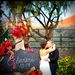 Profile Picture of Jason Olivieri (@ralleydodge) on Pinterest