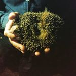 Profile Picture of Марк Эсаулов (@mon.amark) on Instagram