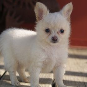 Cindy Akerman - Pinterest Profile Picture of Cindy Akerman (@cindydrummond) on Pinterest