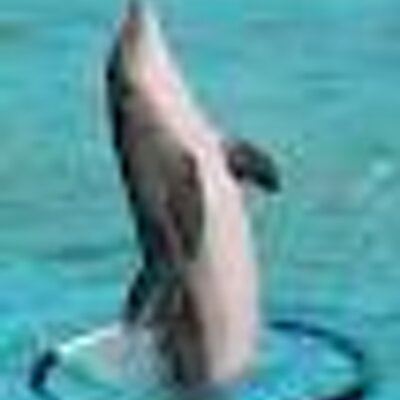 Profile Picture of Lucy Yuan (@lucy_yuan) on Twitter