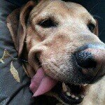 Profile Picture of Debra Coker (@debracoker88) on Instagram