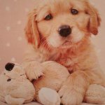 Profile Picture of roberta (@charleysissy) on Instagram