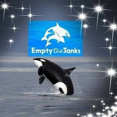 Profile Picture of Sean H ⚽️ #COYG (@afcsean89) on Twitter