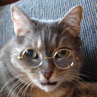 Profile Picture of Haley Laird (@haley-laird-5) on Quora