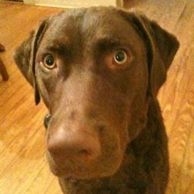 Profile Picture of Keith Jernigan (@KJernigan1315) on Twitter