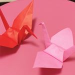 Profile Picture of Chiho Sugimoto (@stella.c.h) on Instagram