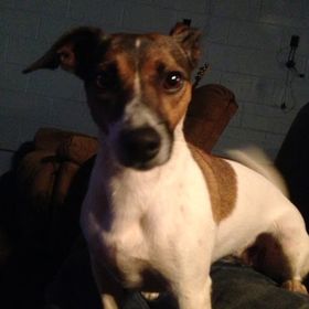 Profile Picture of Luke LaPrade (@blapslgs) on Pinterest