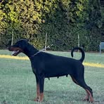 Profile Picture of Jacopo Chiarini (@Jacopo-Chiarini) on Facebook