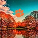 Chasity Berry - Instagram Profile Picture of Chasity Berry (@berrychasity) on Instagram