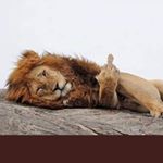 Profile Picture of Charles Phil McCharles (@mccharles_cp) on Instagram