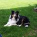 Profile Picture of Larry Rector (@larry.rector.520) on Facebook
