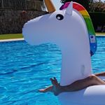 Profile Picture of carpa (@claudine.williamson882) on Instagram