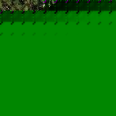 Profile Picture of Lu-anne Logan Cobb (@lucylu82162) on Myspace