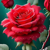 Profile Picture of Neelam Tiwari (@neelamtiwari-w8h) on Youtube