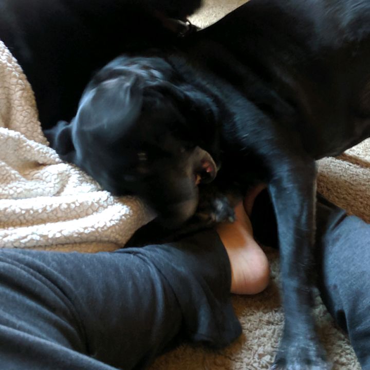 Profile Picture of James Downs (@@papa_palpie) on Tiktok