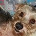 Profile Picture of Carol Carlson Kessler (@carolcarlson.kessler) on Facebook