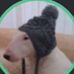 Profile Picture of Michael Hoskin (@Michael-Hoskin) on Facebook